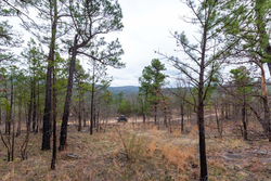 property photo for Stone Bridge Phase III Tract 137, 4.86 acres for sale in LatimerHaskell County, Oklahoma