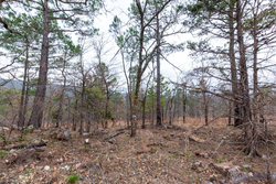 property photo for Stone Bridge Phase III Tract 137, 4.86 acres for sale in LatimerHaskell County, Oklahoma