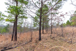 property photo for Stone Bridge Phase III Tract 138, 5.72 acres for sale in LatimerHaskell County, Oklahoma