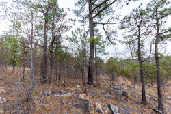 property photo for Stone Bridge Phase III Tract 138, 5.72 acres for sale in LatimerHaskell County, Oklahoma
