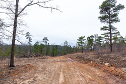 property photo for Stone Bridge Phase III Tract 138, 5.72 acres for sale in LatimerHaskell County, Oklahoma