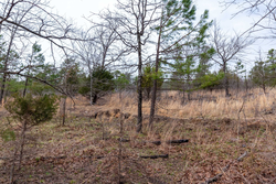 property photo for Stone Bridge Phase III Tract 138, 5.72 acres for sale in LatimerHaskell County, Oklahoma