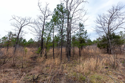 property photo for Stone Bridge Phase III Tract 138, 5.72 acres for sale in LatimerHaskell County, Oklahoma