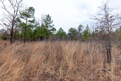 property photo for Stone Bridge Phase III Tract 138, 5.72 acres for sale in LatimerHaskell County, Oklahoma