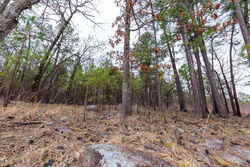 property photo for Stone Bridge Phase III Tract 139, 6.82 acres for sale in LatimerHaskell County, Oklahoma