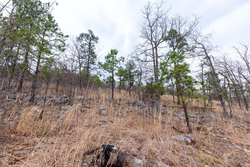 property photo for Stone Bridge Phase III Tract 139, 6.82 acres for sale in LatimerHaskell County, Oklahoma