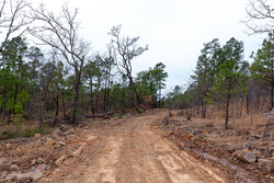 property photo for Stone Bridge Phase III Tract 139, 6.82 acres for sale in LatimerHaskell County, Oklahoma