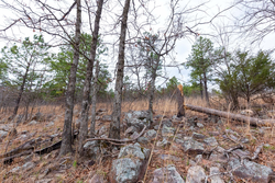 property photo for Stone Bridge Phase III Tract 139, 6.82 acres for sale in LatimerHaskell County, Oklahoma