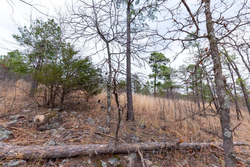 property photo for Stone Bridge Phase III Tract 139, 6.82 acres for sale in LatimerHaskell County, Oklahoma