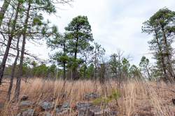 property photo for Stone Bridge Phase III Tract 139, 6.82 acres for sale in LatimerHaskell County, Oklahoma