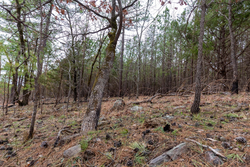 property photo for Stone Bridge Phase III Tract 139, 6.82 acres for sale in LatimerHaskell County, Oklahoma