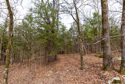 property photo for Stone Bridge Phase III Tract 149, 5.89 acres for sale in LatimerHaskell County, Oklahoma