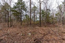 property photo for Stone Bridge Phase III Tract 149, 5.89 acres for sale in LatimerHaskell County, Oklahoma