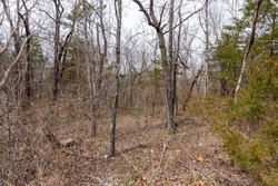 property photo for Stone Bridge Phase III Tract 149, 5.89 acres for sale in LatimerHaskell County, Oklahoma