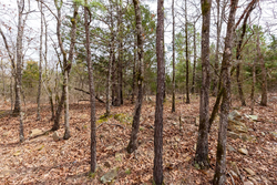 property photo for Stone Bridge Phase III Tract 149, 5.89 acres for sale in LatimerHaskell County, Oklahoma
