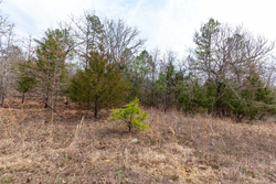 property photo for Stone Bridge Phase III Tract 149, 5.89 acres for sale in LatimerHaskell County, Oklahoma