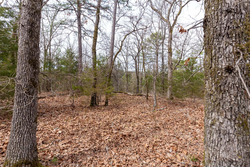 property photo for Stone Bridge Phase III Tract 149, 5.89 acres for sale in LatimerHaskell County, Oklahoma