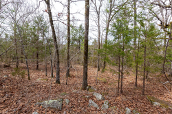 property photo for Stone Bridge Phase III Tract 149, 5.89 acres for sale in LatimerHaskell County, Oklahoma