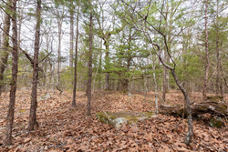 property photo for Stone Bridge Phase III Tract 149, 5.89 acres for sale in LatimerHaskell County, Oklahoma