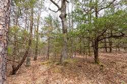 property photo for Stone Bridge Phase III Tract 149, 5.89 acres for sale in LatimerHaskell County, Oklahoma