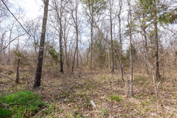 property photo for Stone Bridge Phase III Tract 158, 6.03 acres for sale in LatimerHaskell County, Oklahoma