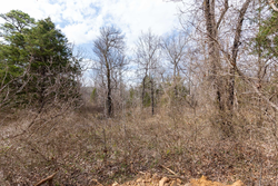 property photo for Stone Bridge Phase III Tract 158, 6.03 acres for sale in LatimerHaskell County, Oklahoma