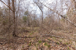property photo for Stone Bridge Phase III Tract 158, 6.03 acres for sale in LatimerHaskell County, Oklahoma