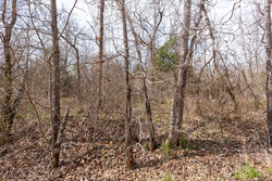property photo for Stone Bridge Phase III Tract 158, 6.03 acres for sale in LatimerHaskell County, Oklahoma