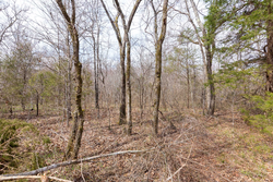 property photo for Stone Bridge Phase III Tract 158, 6.03 acres for sale in LatimerHaskell County, Oklahoma