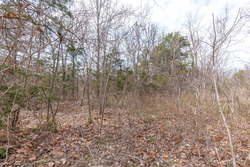 property photo for Stone Bridge Phase III Tract 158, 6.03 acres for sale in LatimerHaskell County, Oklahoma