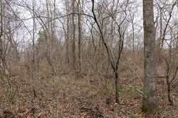 property photo for Stone Bridge Phase III Tract 159, 4.85 acres for sale in LatimerHaskell County, Oklahoma