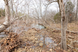 property photo for Stone Bridge Phase III Tract 159, 4.85 acres for sale in LatimerHaskell County, Oklahoma