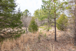property photo for Stone Bridge Phase III Tract 159, 4.85 acres for sale in LatimerHaskell County, Oklahoma