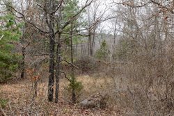 property photo for Stone Bridge Phase III Tract 159, 4.85 acres for sale in LatimerHaskell County, Oklahoma