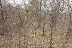 property photo for Stone Bridge Phase III Tract 159, 4.85 acres for sale in LatimerHaskell County, Oklahoma
