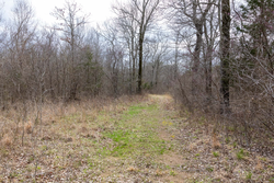 property photo for Stone Bridge Phase III Tract 159, 4.85 acres for sale in LatimerHaskell County, Oklahoma