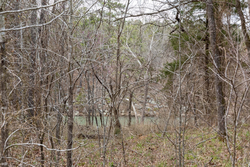 property photo for Stone Bridge Phase III Tract 159, 4.85 acres for sale in LatimerHaskell County, Oklahoma