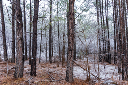 property photo for Stone Bridge Phase IV Tract 230, 5.72 acres for sale in LatimerHaskell County, Oklahoma