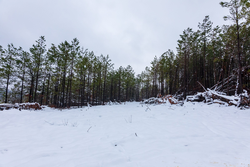 property photo for Stone Bridge Phase IV Tract 231, 10.33 acres for sale in LatimerHaskell County, Oklahoma