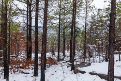 property photo for Stone Bridge Phase IV Tract 231, 10.33 acres for sale in LatimerHaskell County, Oklahoma