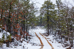 property photo for Stone Bridge Phase IV Tract 231, 10.33 acres for sale in LatimerHaskell County, Oklahoma