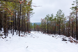 property photo for Stone Bridge Phase IV Tract 231, 10.33 acres for sale in LatimerHaskell County, Oklahoma