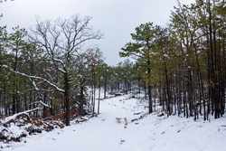 property photo for Stone Bridge Phase IV Tract 231, 10.33 acres for sale in LatimerHaskell County, Oklahoma