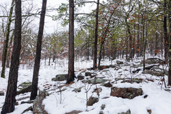 property photo for Stone Bridge Phase IV Tract 231, 10.33 acres for sale in LatimerHaskell County, Oklahoma