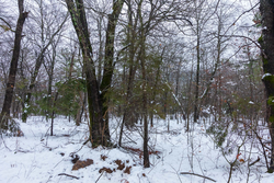 property photo for Stone Bridge Phase IV Tract 232, 8.34 acres for sale in LatimerHaskell County, Oklahoma