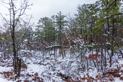 property photo for Stone Bridge Phase IV Tract 232, 8.34 acres for sale in LatimerHaskell County, Oklahoma