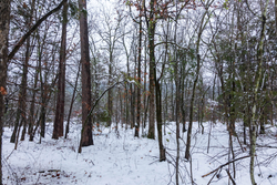 property photo for Stone Bridge Phase IV Tract 232, 8.34 acres for sale in LatimerHaskell County, Oklahoma