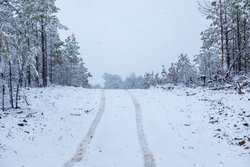 property photo for Stone Bridge Phase IV Tract 235, 6.84 acres for sale in LatimerHaskell County, Oklahoma