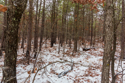 property photo for Stone Bridge Phase IV Tract 236, 6.09 acres for sale in LatimerHaskell County, Oklahoma