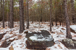 property photo for Stone Bridge Phase IV Tract 236, 6.09 acres for sale in LatimerHaskell County, Oklahoma